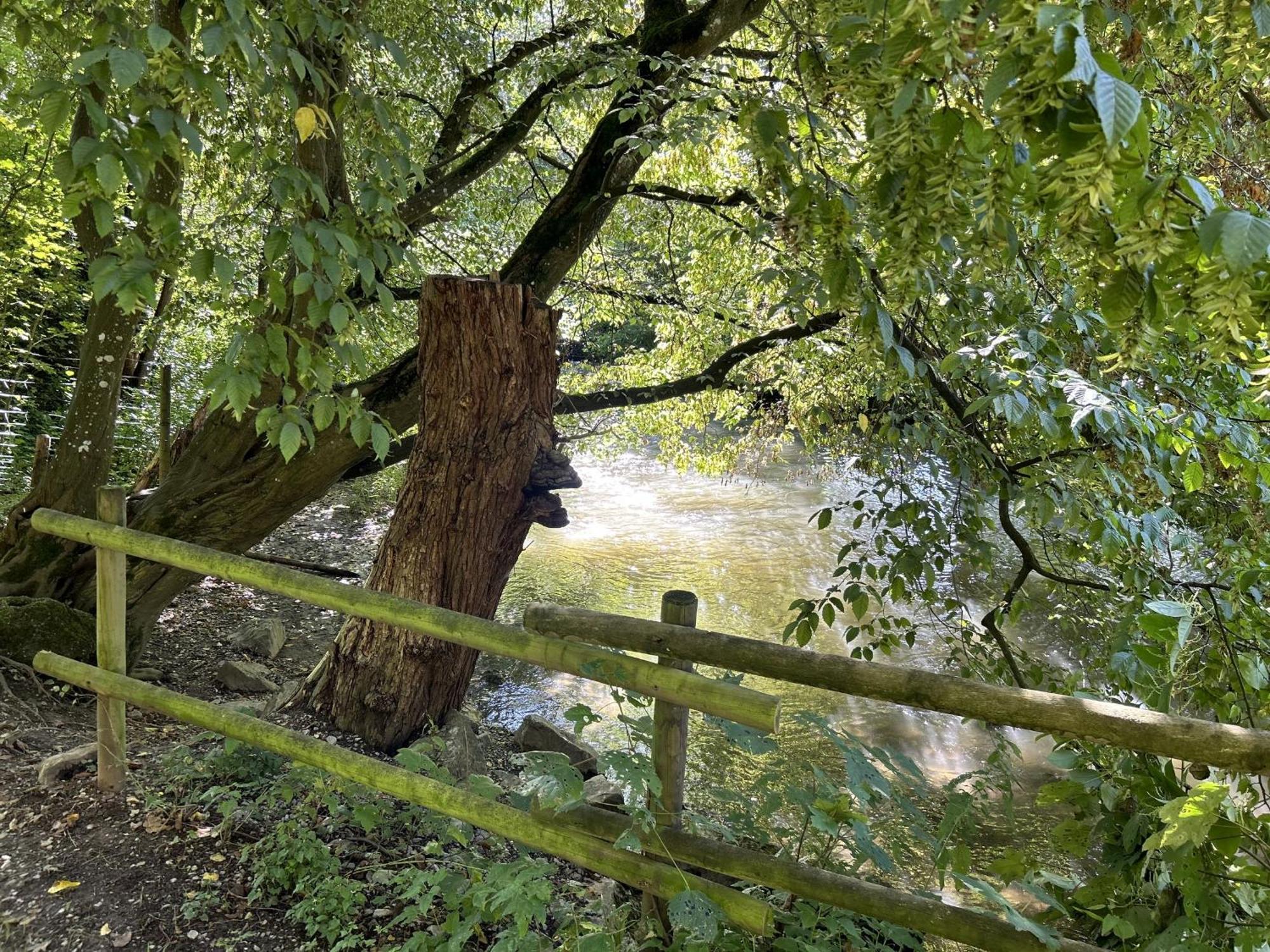 Ferienwohnung Sauerland An Der Ruhr Ольсберг Экстерьер фото