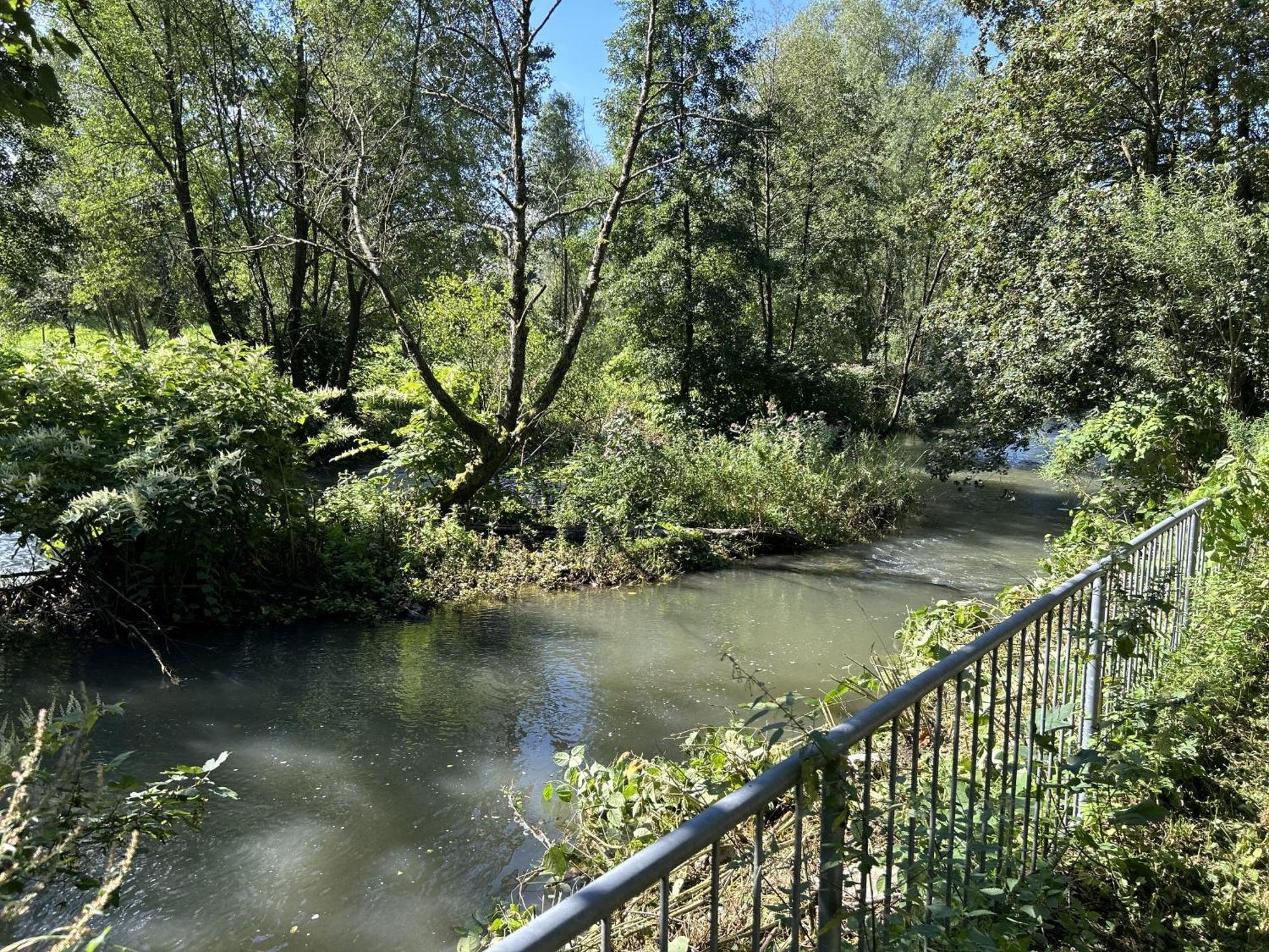 Ferienwohnung Sauerland An Der Ruhr Ольсберг Экстерьер фото