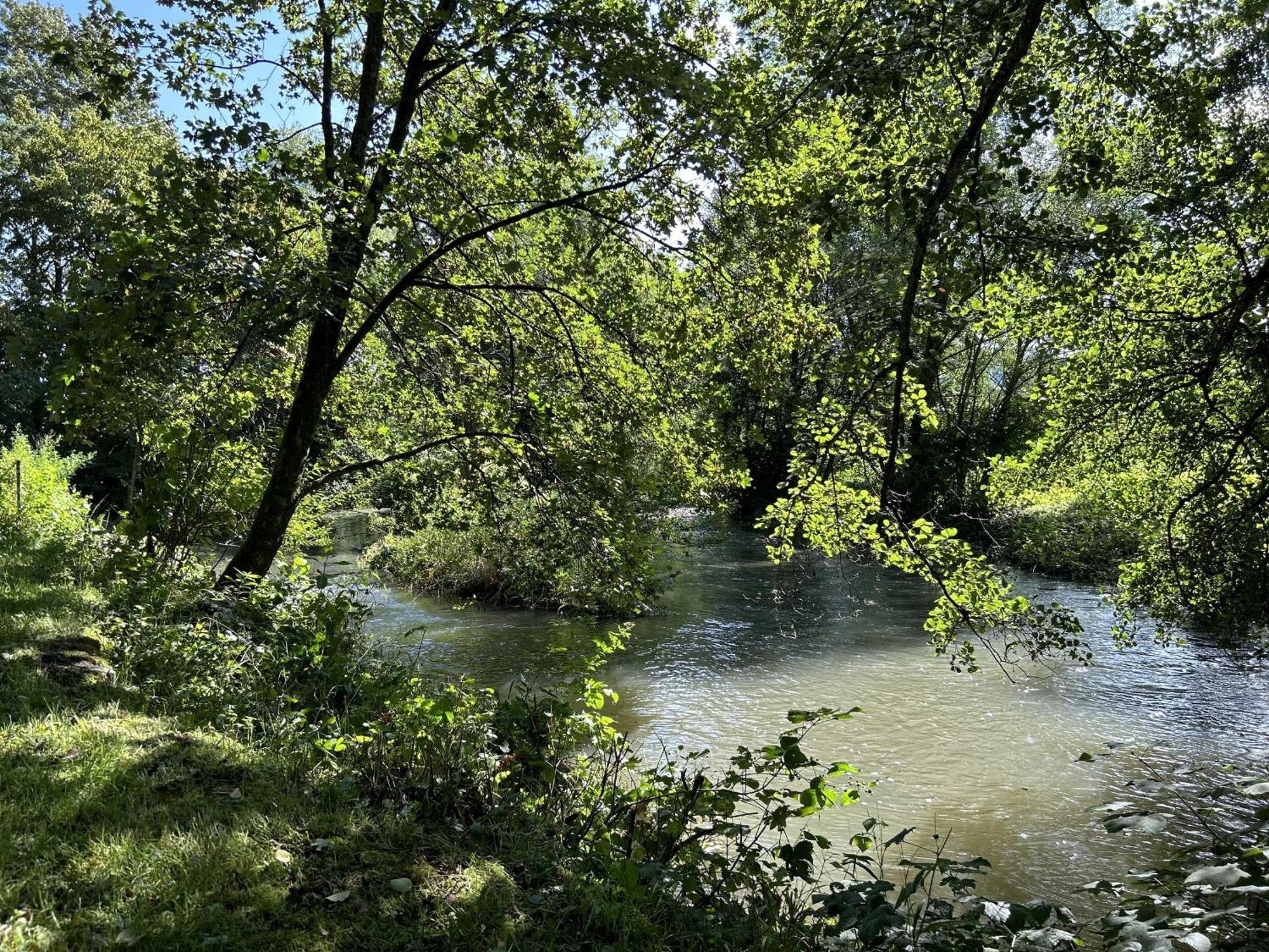 Ferienwohnung Sauerland An Der Ruhr Ольсберг Экстерьер фото
